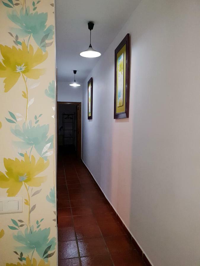 La Rana Siviglia