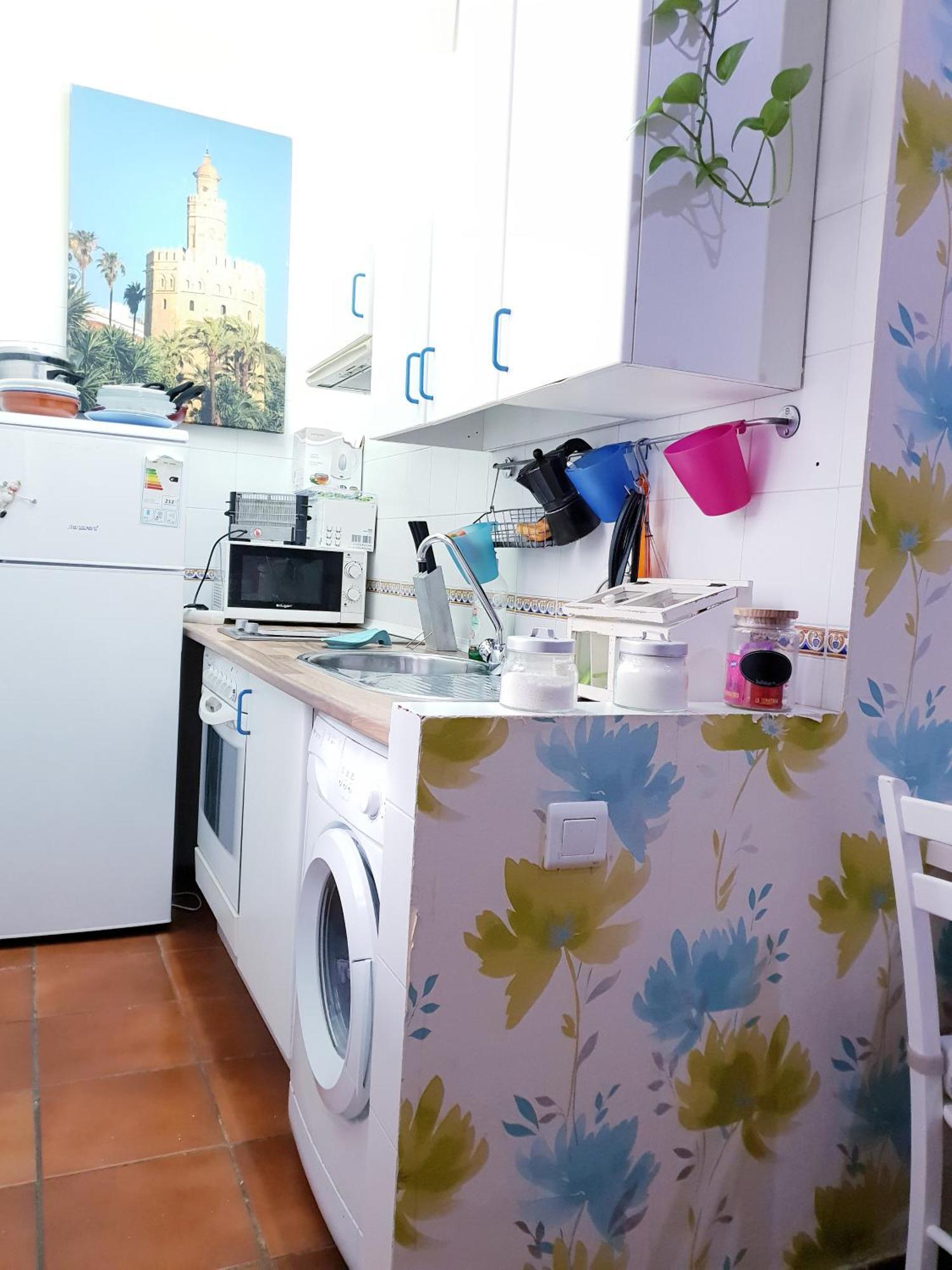 La Rana Appartement *
